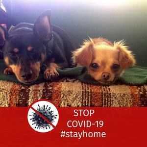 Meet your Posher, R marie